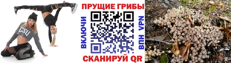 Псилоцибиновые грибы ЛСД Бежецк